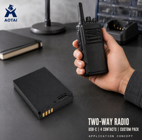 Batterie LiFePO4 Li-ion personnalisée détachable avec chargement USB Type-C et connecteur Pogo Pin, 1000 cycles, -20~55°C pour appareil portable IoT