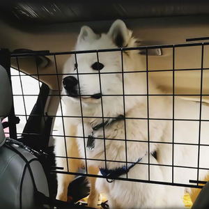 Cage pour <span class=keywords><strong>chien</strong></span> Cage pour <span class=keywords><strong>chien</strong></span> Hotsale <span class=keywords><strong>Barrière</strong></span> de voiture en métal solide Filet d'isolation de voyage pour animaux de compagnie Clôture de protection renforcée sécurisée Protection séparée Cage pour <span class=keywords><strong>chien</strong></span> - Product Image 2