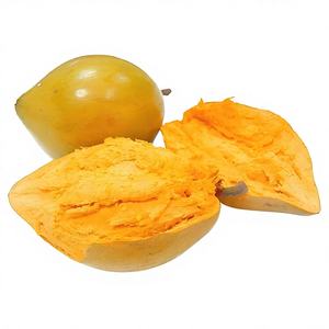Polvo Concentrado de Lucuma Nervosa Orgánico Natural de Alta Calidad, Extracto de Lucuma Nervosa en Polvo de Grado Alimenticio - Product Image 2