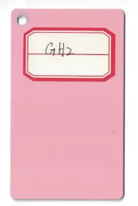GH2