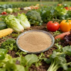 YIDA Biotech - Mejorador de Suelo No Tóxico con Ácido Húmico y Beauveria Bassiana para Base de Plántulas, Promotor del Crecimiento de Plantas, Agente Insecticida - Product Image 2