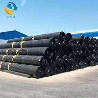 Geomembranas de HDPE para Revestimiento de Estanques de Peces y Uso en Acuicultura, Ecológicas, Duraderas, de Larga Vida Útil, para Exteriores