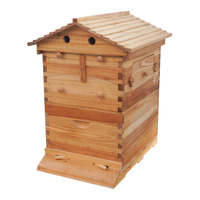 Witbee B-18 Auto Flows Kit de démarrage 7 pièces, nouvelle ruche en bois, cadres automatiques pré-cirés, garantie 2 ans pour apiculteurs et fermes