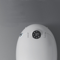 Sanitaire intelligent WC WC en forme d'oeuf Placard à eau Salle de bain Céramique Siège automatique monté au sol Cuvette de toilette électrique intelligente