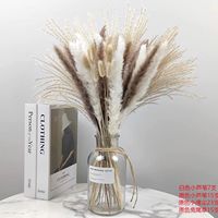 Bunga Kering Campuran Alami MOQ Rendah Pampas White Reed Bunny Tail Eucalyptus Terawetkan 5 Jenis Dekorasi Rumah Boho Dapat Digunakan Kembali