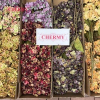 Bunga Hydrangea Buatan dari Lateks dengan Sentuhan Realistis Warna Musim Gugur DC225 untuk Buket Pernikahan dan Dekorasi Tengah Meja Acara