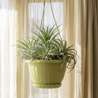 Pot Anggrek Plastik Chelsea Chia Pot Cross-border, Desain Minimalis Eropa, Kokoh dan Tahan Lama, Cocok untuk Balkon dan Dalam Ruangan