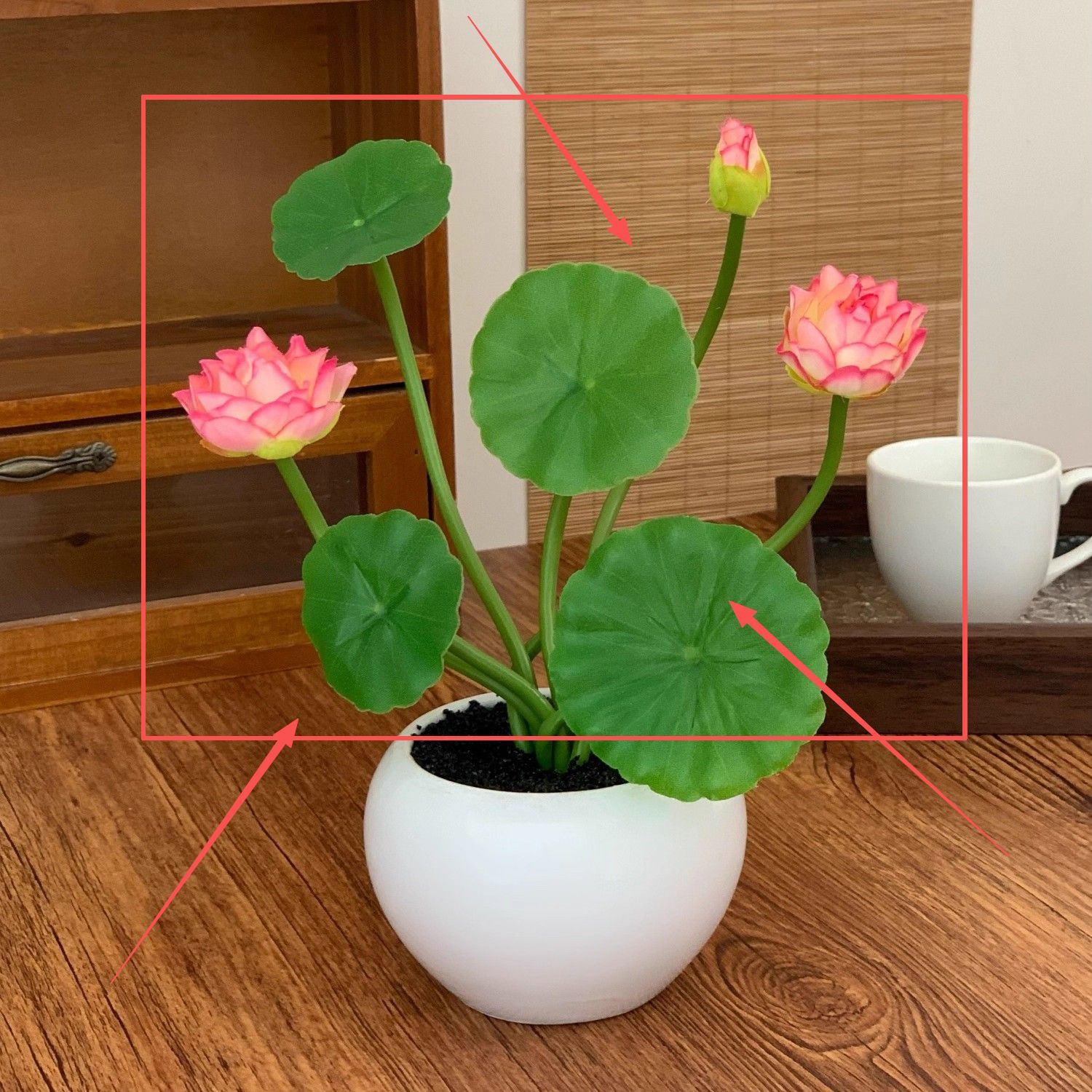 Pink lotus potted plant [flower only, no pot]