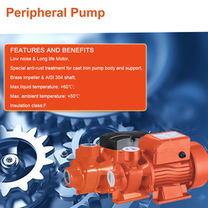 Chất Lượng Cao Ngang Điện Ly Tâm Máy Bơm Nước Nồi Hơi Bơm Điện Máy Bơm Nước Cho Thủy Lợi - Product Image 3