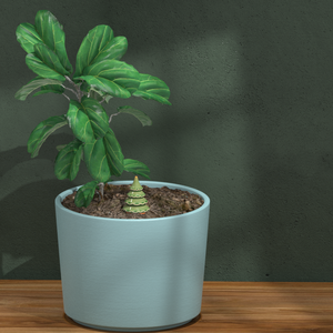 Système <span class=keywords><strong>d</strong></span>'irrigation automatique à libération lente en terre cuite pour plantes <span class=keywords><strong>d</strong></span>'intérieur et <span class=keywords><strong>d</strong></span>'extérieur, idéal pour les vacances - Product Image 5