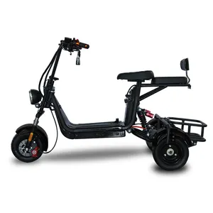 China neuer Stil Dreirad Mini Roller Elektro Dreirad 1000w E Trike für Jugendliche und Erwachsene