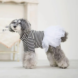 เสื้อผ้าสัตว์เลี้ยงลายทางสำหรับฤดูใบไม้ร่วงและฤดูหนาว เสื้อผ้าสัตว์เลี้ยงผ้าฝ้ายเรียบง่ายสำหรับฤดูร้อนและฤดูใบไม้ผลิ เสื้อเชิ้ตกระโปรง - Product Image 6