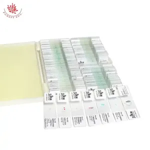 Sinh học thực vật học và mô thực vật chuẩn bị Slide trường dạy mẫu giáo dục sinh học - Product Image 5