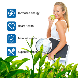 Cápsulas Personalizadas para la Pérdida de Peso Saludable, Quemagrasas, Refuerzo Inmunológico, Suplemento de Extracto de Té Verde, Quema Grasa Abdominal - Product Image 6