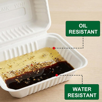 Boîte alimentaire rectangulaire jetable en bagasse avec couvercle en PET, compostable, en canne à sucre, pour plats à emporter