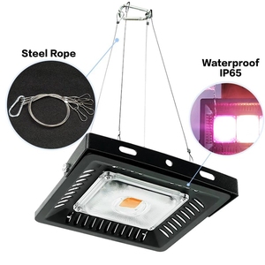 LED Éclairage Professionnel 50W 100W 150W AC110V 220V LED Réflecteur Lampe Jardin Lampe Froide <span class=keywords><strong>Blanc</strong></span> Chaud UV D'inondation Élèvent La Lumière - Product Image 4