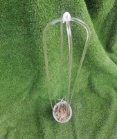 Treillis pour plantes en acrylique transparent en forme de U de 19 pouces/38 pouces avec support pour tomates, couleur et logo personnalisés pour les plantes grimpantes