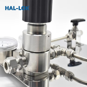 Panel de Control de Manómetros de Acero Inoxidable de Alta Presión para <span class=keywords><strong>Gas</strong></span> Neumático, Regulador de Presión de 0-1.6MPa para Dos Cilindros HAL-LOK - Product Image 6