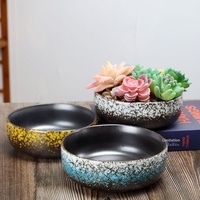 Pot Tanaman Sukulen Keramik Rustic Buatan Tangan Diameter Besar Satu Bagian Pengiriman Langsung