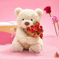 Nouvelle Peluche Ours Saint-Valentin Créative avec Chapeau Rose, Super Douce, Remplissage Coton PP, Emballage Sous Vide, Pour Filles et Garçons 14