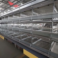 Dernier modèle de cage pour volailles : cage automatique pour poulets de chair et poules pondeuses