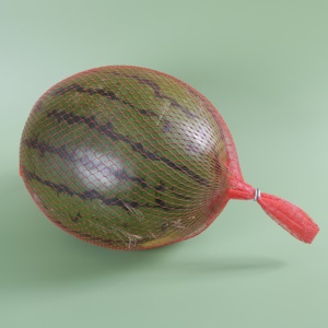フルーツ用プラスチックネットバッグレモン生分解性メッシュ工場供給 - Product Image 4
