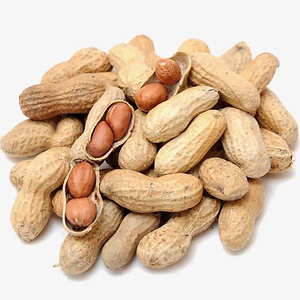 Nueva Temporada, Cacahuetes Crudos <span class=keywords><strong>con</strong></span> Cáscara de Grado 3A, Modelo 2025, 11/13, 9/11 |   Crujiente |   Empaquetado al por Mayor y al Detal - Product Image 2
