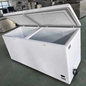Congelador Horizontal de Puerta Sólida de Ahorro Energético, Congelador Rápido para Alimentos - Product Image 2