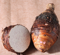 Racine de Taro Fraîche - Taro Nutritif et Délicieux pour la Cuisine et la Pâtisserie