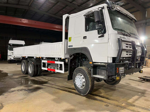 Camion <span class=keywords><strong>plateau</strong></span> lourd HOWO 6X4, durable pour le transport de céréales, de matériaux de construction et miniers en Afrique, taille personnalisée - Product Image 5