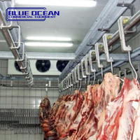 Congélateur sans rendez-vous à température unique avec refroidissement par air pour le stockage de la viande fraîche Comprend le mode de refroidissement par ventilateur