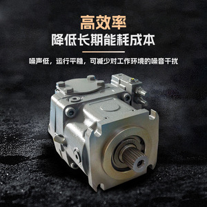 Bomba hidráulica de pistón variable Shangze A11VO95 con montaje de brida para minería y maquinaria de inyección - Product Image 2