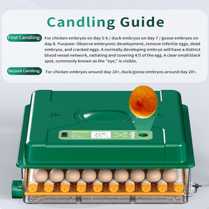 Weiqian lồng ấp 100 trứng gia cầm lồng ấp gà trứng nở hoàn toàn tự động kép điện lồng ấp - Product Image 5