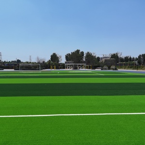 Erba Artificiale SENDU per <span class=keywords><strong>Campo</strong></span> <span class=keywords><strong>da</strong></span> <span class=keywords><strong>Calcio</strong></span> in Materiale PP+PE, Dimensioni/Colore/Altezza del Pelo Personalizzabili, Impermeabile, Ignifugo, Alta Densità per Esterni - Product Image 6