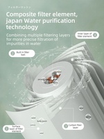 Robinet en laiton chromé à poignée unique, pommeau de douche pluie en plastique ABS avec filtre, style japonais, pour salle de bain - Prix de gros
