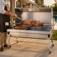 Gril rotissoire double brûleur au charbon et au gaz, rôtissoire à double combustible pour agneau et cochon entiers, machine à souvla en inox