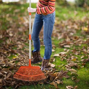 Maniglia regolabile pulizia rapida del <span class=keywords><strong>giardino</strong></span> in acciaio con foglia di prato - Product Image 6