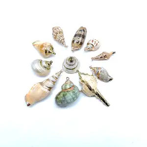 Liontin Cangkang Laut Snail Spiral Pantai Shell Charm dengan Dilapisi 18 K Warna Rose Gold untuk DIY Kalung Perhiasan