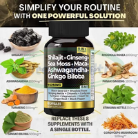 Ausreson OEM Compléments de Shilajit pour l'Immunité, l'Énergie et la Santé – Capsules Pures de Shilajit, Astragale, Ashwagandha, Ginseng, Curcuma et Champignons