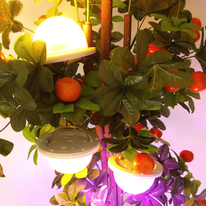 Miễn phí vận chuyển siêu sáng 38LEDs Pin hoạt động có thể sạc lại không dây bình dẫn ánh sáng cơ sở với điều khiển từ xa - Product Image 5