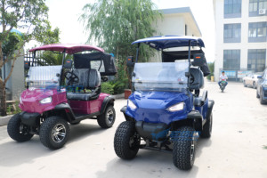 Voiturette de golf à essence de haute qualité, fabricant de voiturettes de golf à essence, voiturettes de golf utilitaires personnalisées pour clubs de chasse - Product Image 5