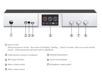 Berase 110-240 voltaj dijital 1U 600 watt ses ekipmanı/amplifikatörler/hoparlör güç amplifikatörü kilise için mikrofon ile