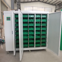 Machine à Germer les Légumineuses Entièrement Automatique à Commande PLC, Capacité 200 kg, avec Rapport Fourni