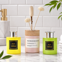 Bouteille vide en verre coloré pour diffuseur de parfum, avec bâtonnets en rotin et fleur de Sola, pour la décoration intérieure