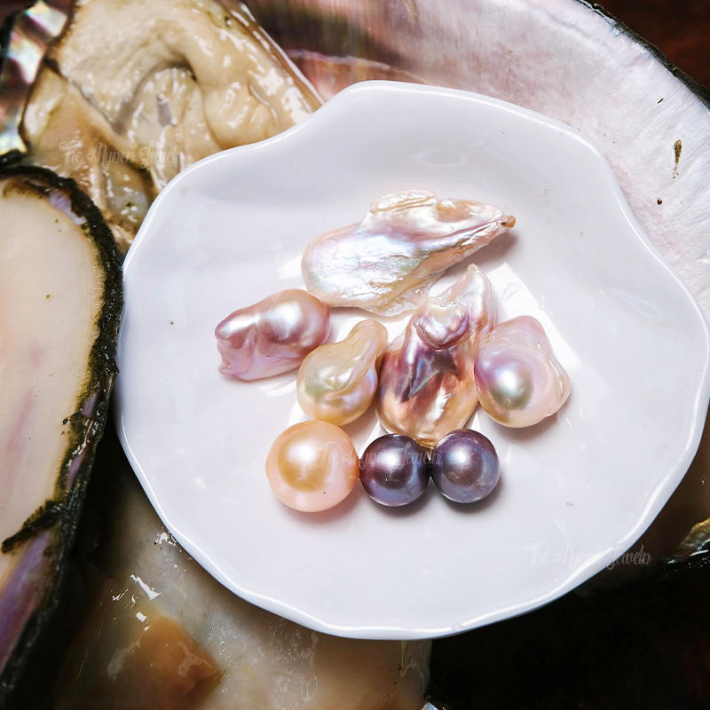 Huître monstre perlée baroque (environ 3 à 5 pièces)