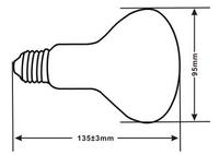 Lucky Herp Excellent Lampe solaire UVA UVB à haute intensité, auto-ballastée, lampe/lumière/ampoule UVA UVB pour reptiles et amphibiens