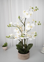 Oh Arts Plantes d'orchidées artificielles de qualité supérieure, orchidées réalistes au toucher réel dans un vase en ciment, orchidée Phalaenopsis blanche réaliste