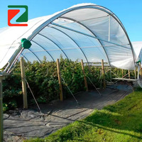 Abri de pluie durable en forme de Y pour la protection des petits fruits, des baies, des légumes et des plantes de jardin