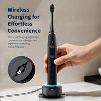 Cepillo de Dientes Eléctrico Recargable de Alta Velocidad, Marca Personalizada OEM ODM, Directo de Fábrica, Etiqueta Privada