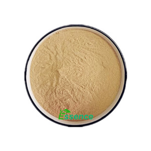 Protéine en poudre d'extrait <span class=keywords><strong>de</strong></span> <span class=keywords><strong>levure</strong></span> <span class=keywords><strong>inactive</strong></span> <span class=keywords><strong>de</strong></span> qualité alimentaire pour l'alimentation animale - Product Image 1